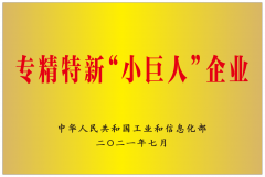 專精特新“小巨人”企業