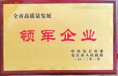 2023 全市高質量發展領軍企業